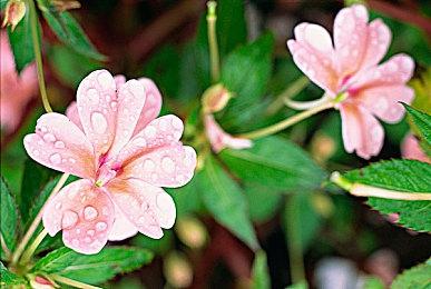 Steam Beta客户端加入对任天堂Joy-Con手柄支持